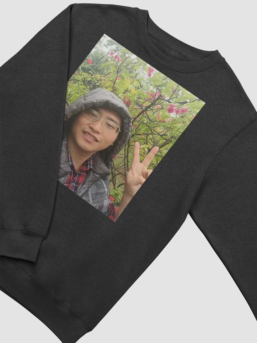 Lane Seven Premium Crewneck Sweatshirt: rainy day product image (19)