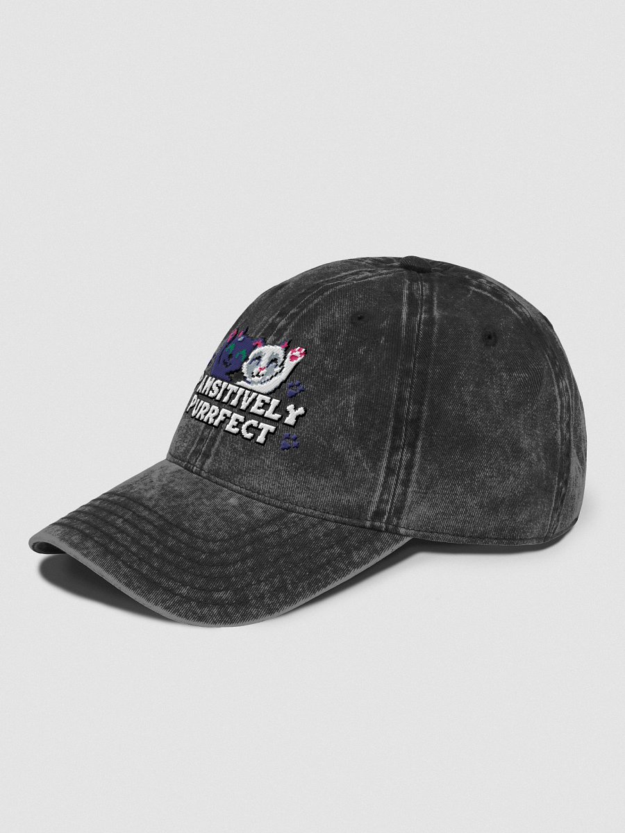 Pawsitively Purrfect Hat product image (3)