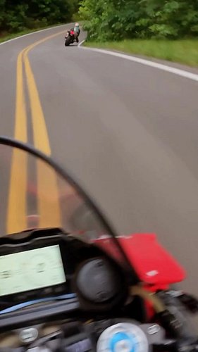 Clipping Trees limbs Tail of the Dragon #tailofthedragon #motorcycle #superbike #ducati #apriliarsv4
