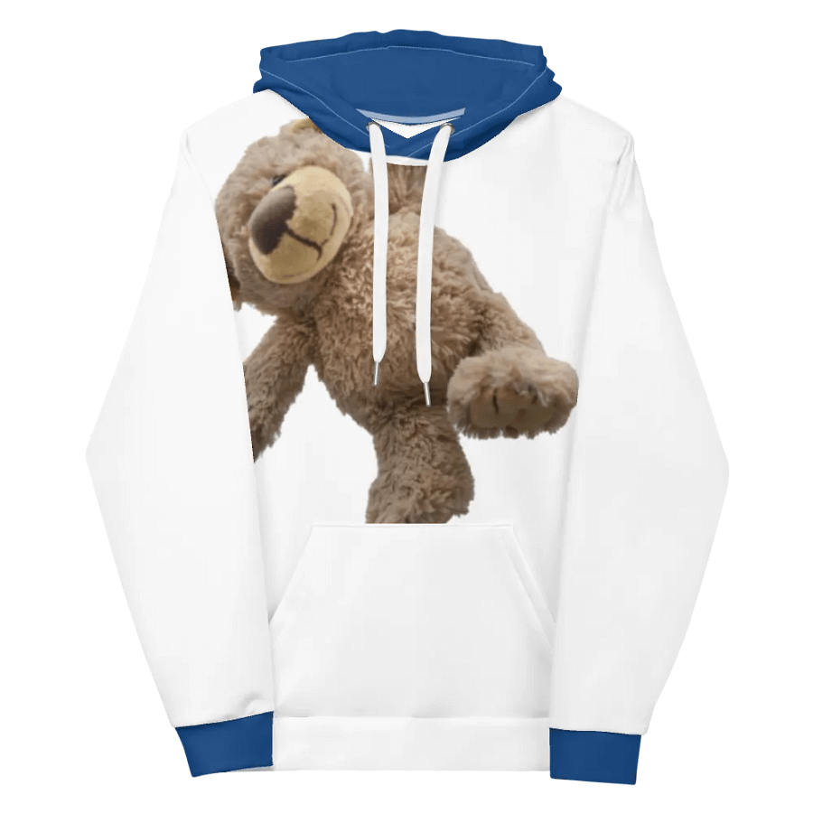 Bear hoodie product image (12)