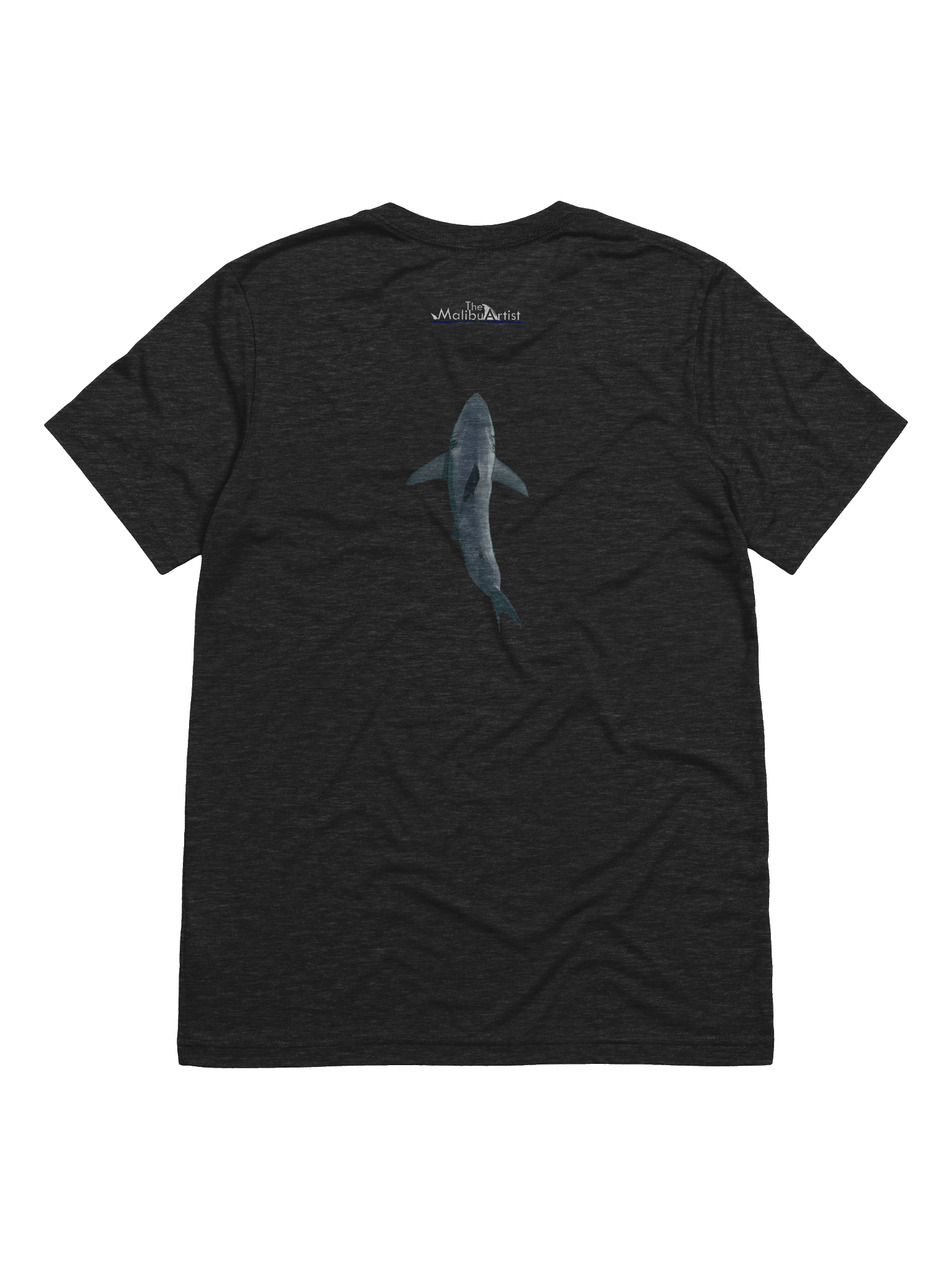 Carcharodon carcharias. product image (2)