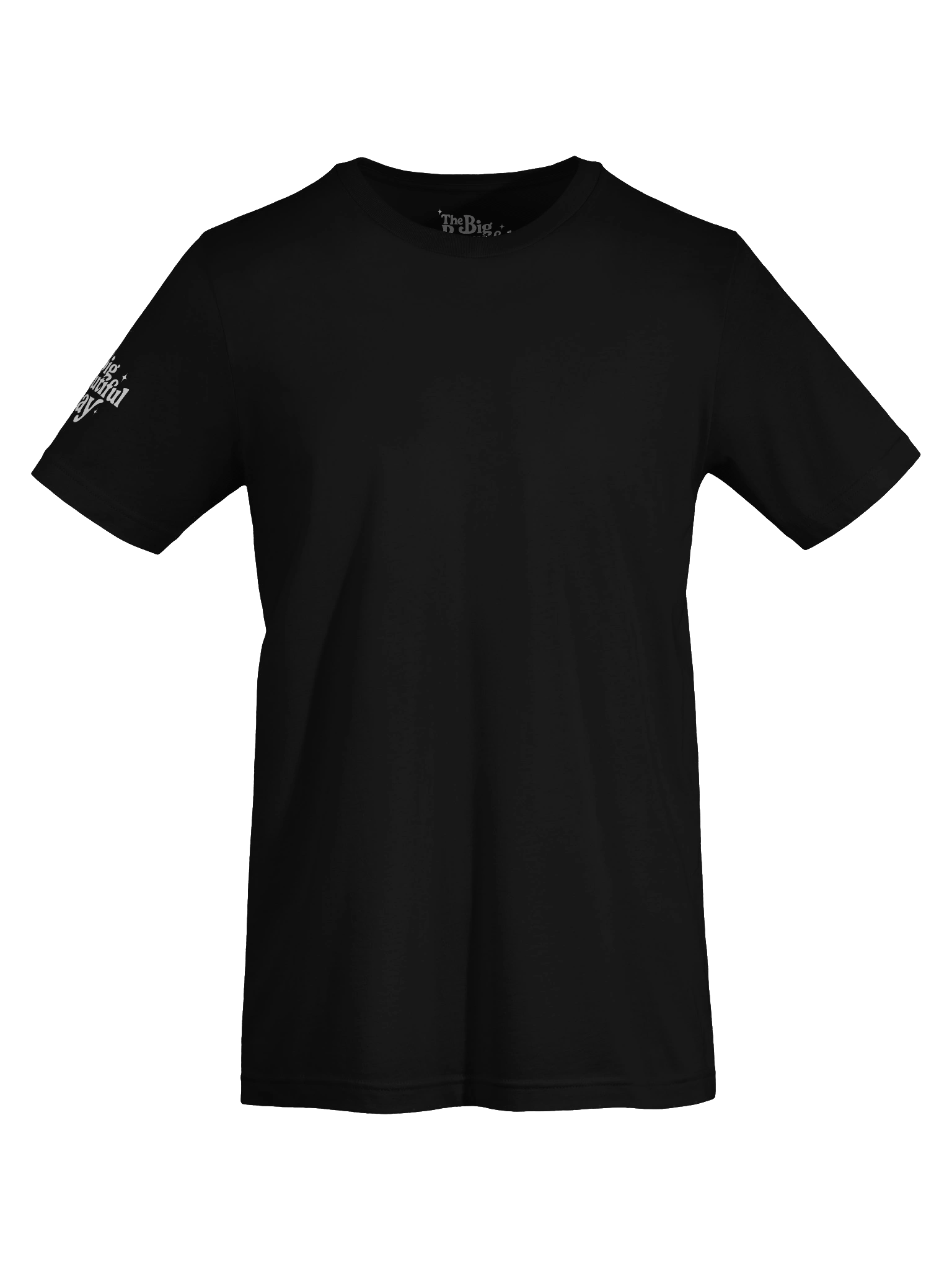 Soaring Big Beautiful Day Tee | Bella+Canvas product image (7)