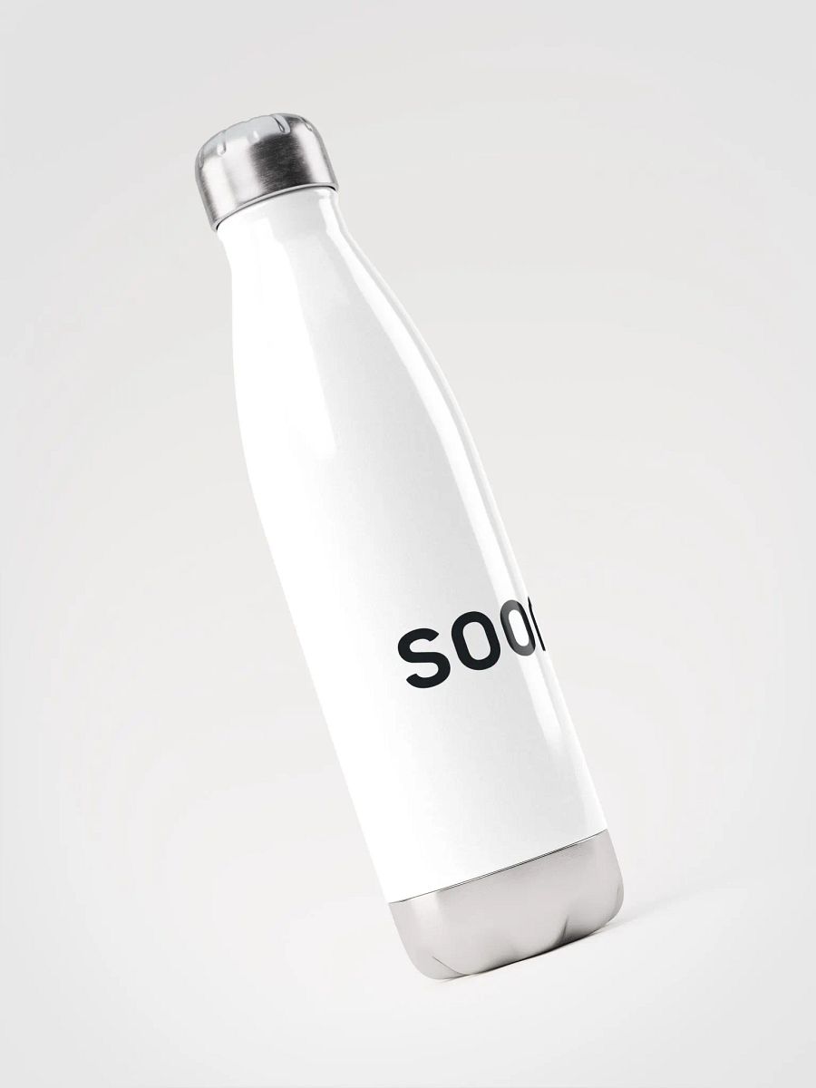 Stainless Steel Water Bottle product image (3)