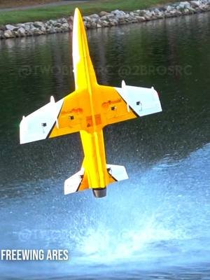 The Freewing Ares is a one trick gimmick of a plane. It hovers really well and does wing rocky harriers. Otherwise it's kinda meh compared to the FMS Avanti 90mm with thrust vectoring. As far as gimmicks go, though, this is one hell of a gimmick! #aviation #rc #rcplane #ares #freewing 