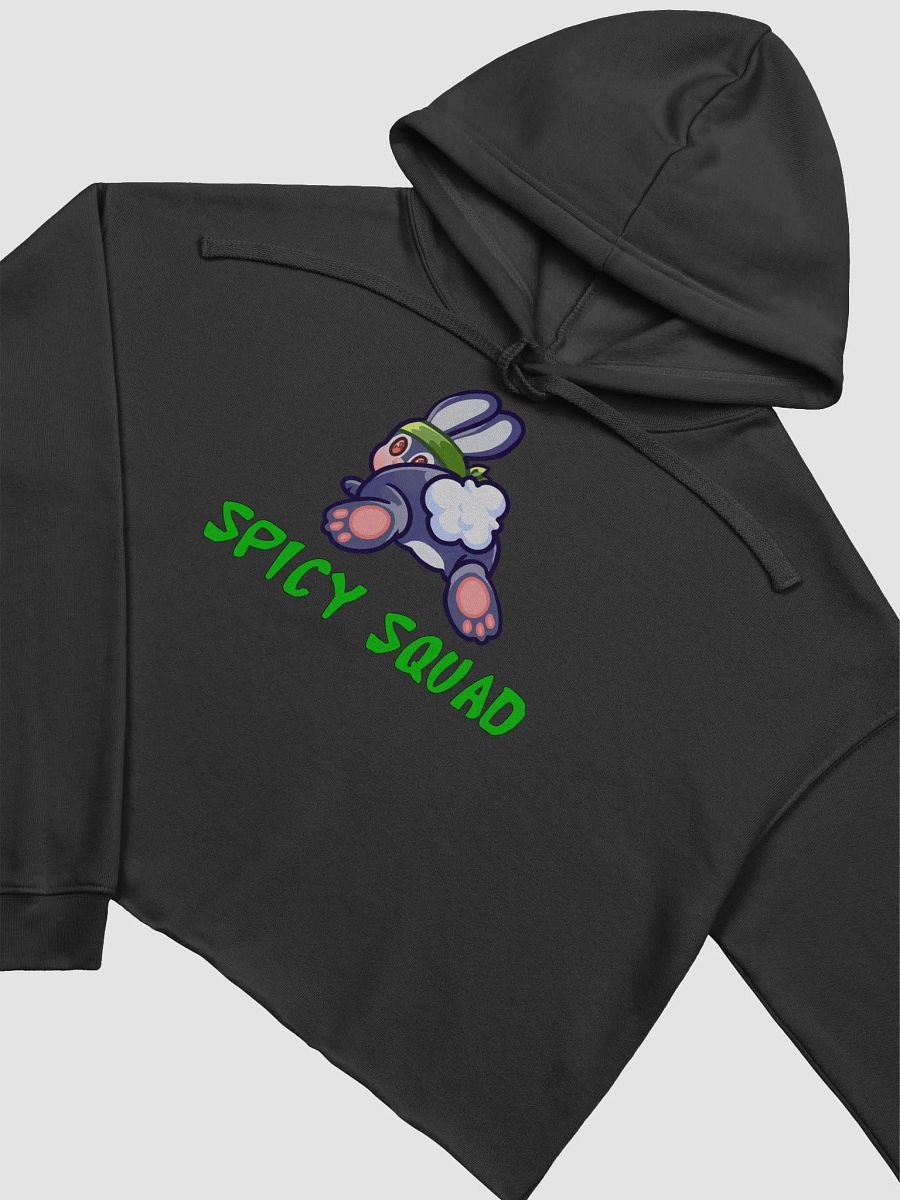 Spicy Squad Crop Hoodie product image (12)