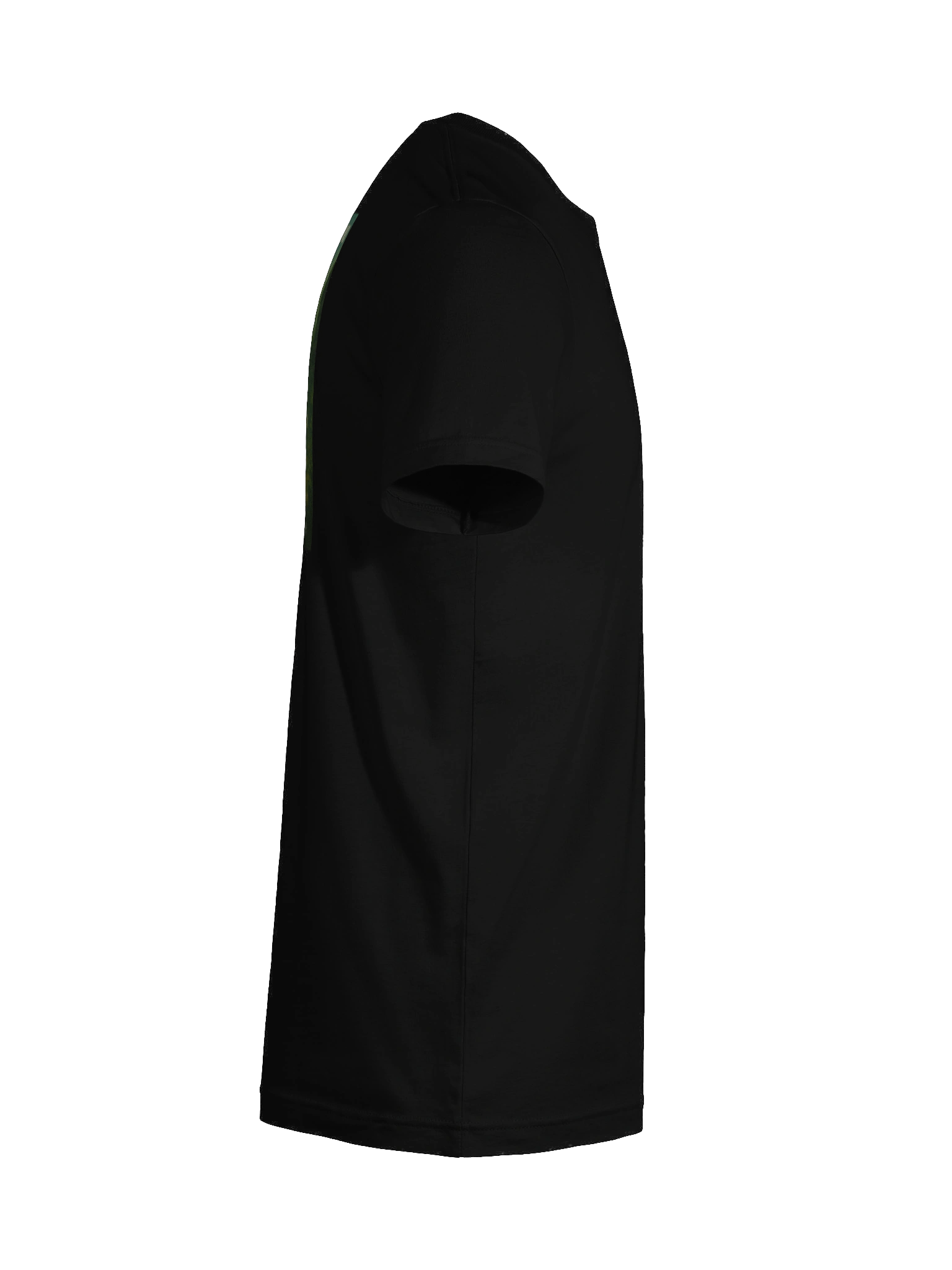 Crónicas de Santiago 2525 2 product image (12)