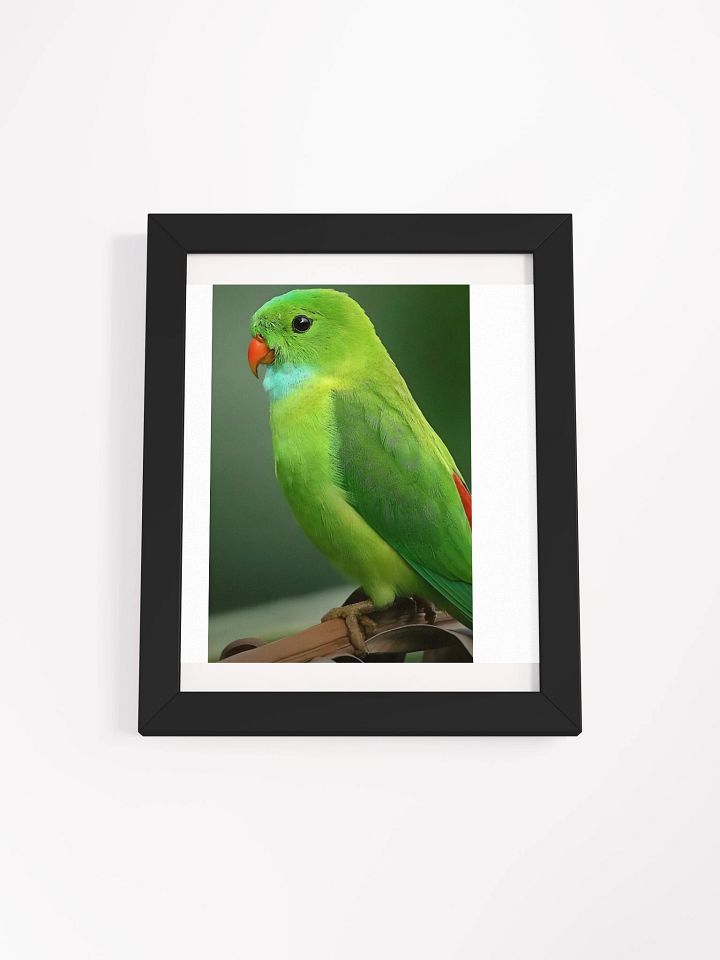 Framed High-Quality Matte Poster (in) Charming Parakeets product image (2)