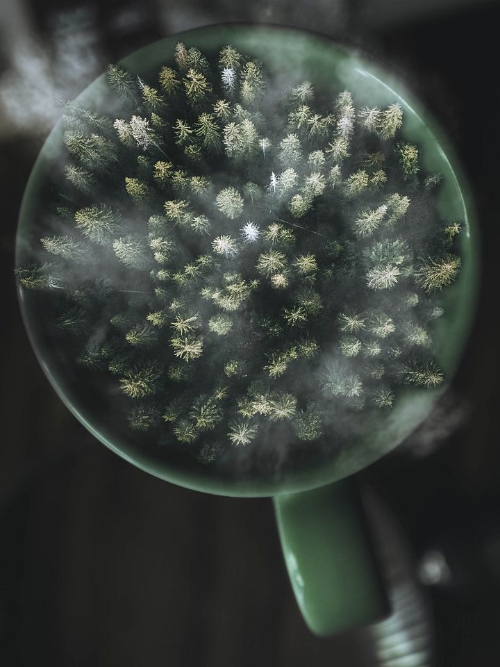 Cup O' Tree product image (1)