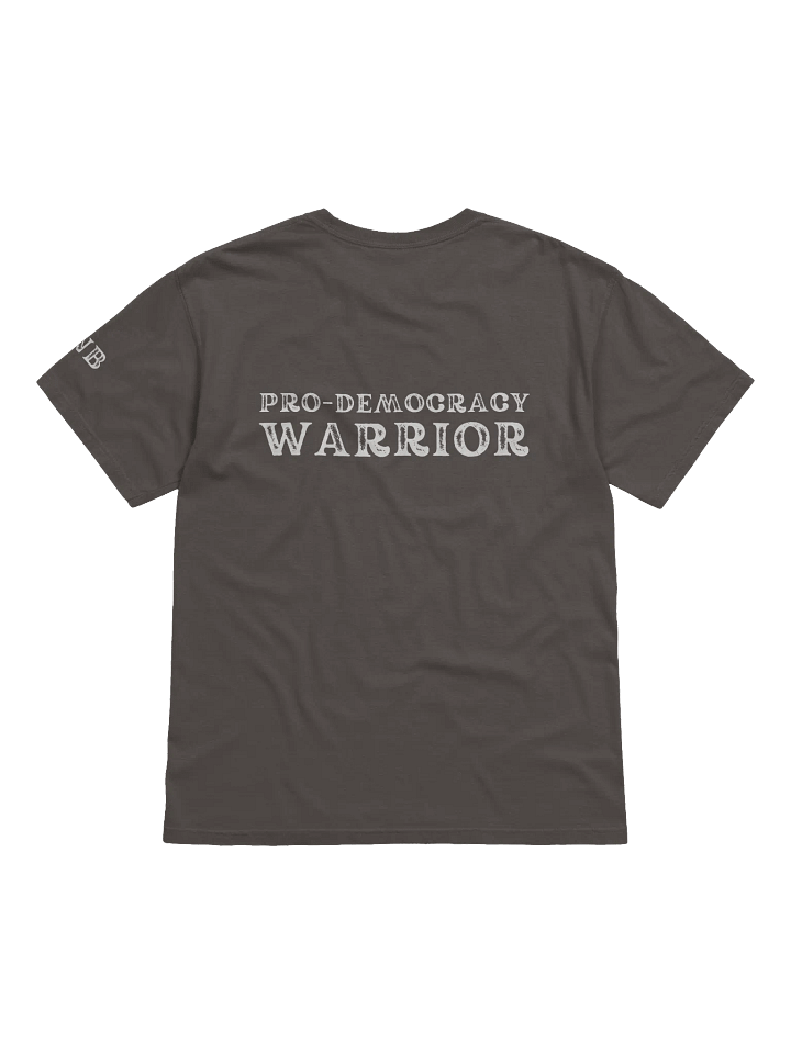 Pro-Democracy Warrior - Back Graphic Unisex T-shirt product image (2)