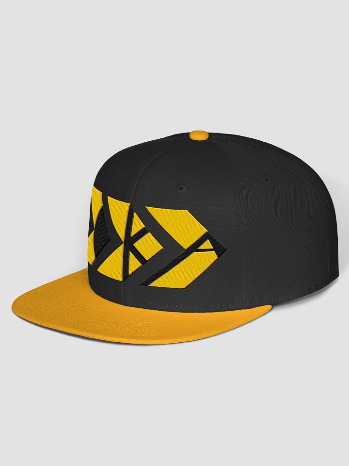 OKACHOBI SNAPBACK product image (12)