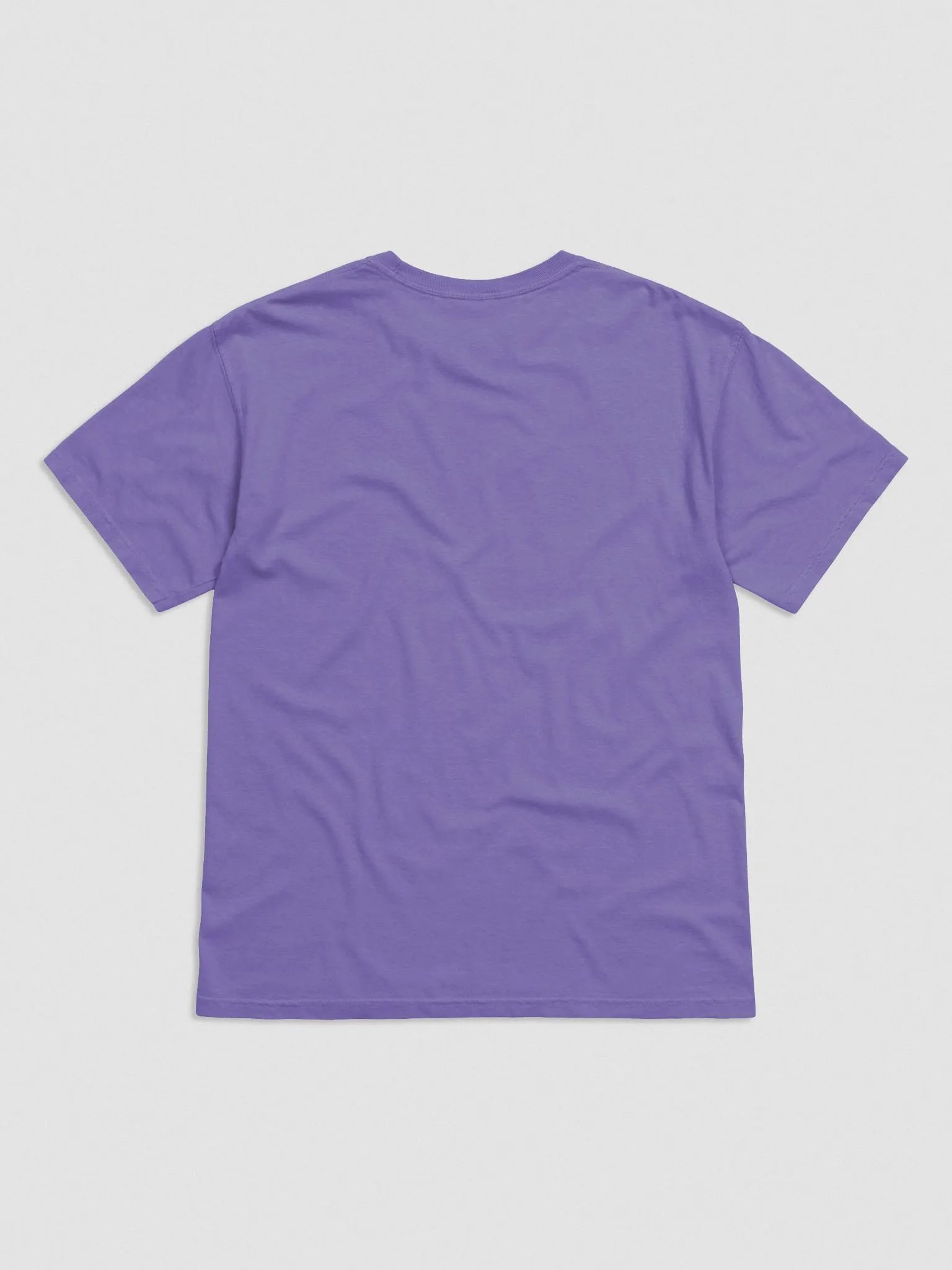 EXCLAIMING MENTALLY (L.C., lined navy) embroidered garment dyed tee product image (54)