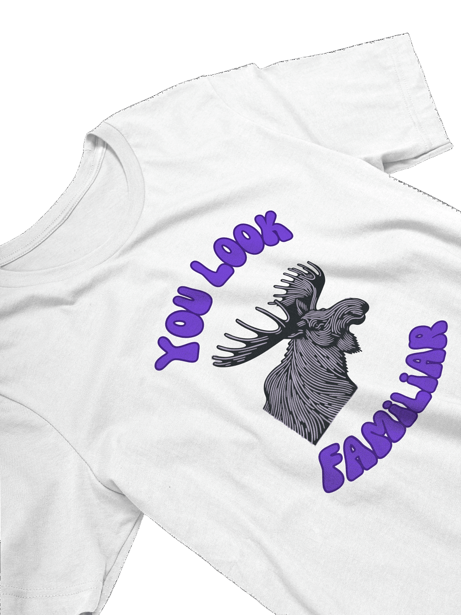 2025 - In Memory of You Limited Edition T-Shirt product image (3)