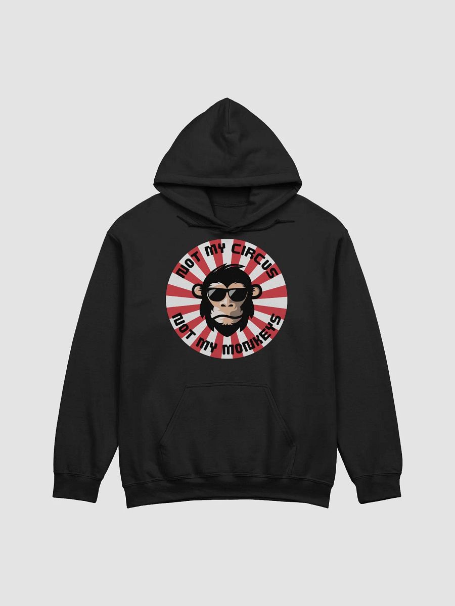 Not My Circus Vibes Hoodie product image (100)