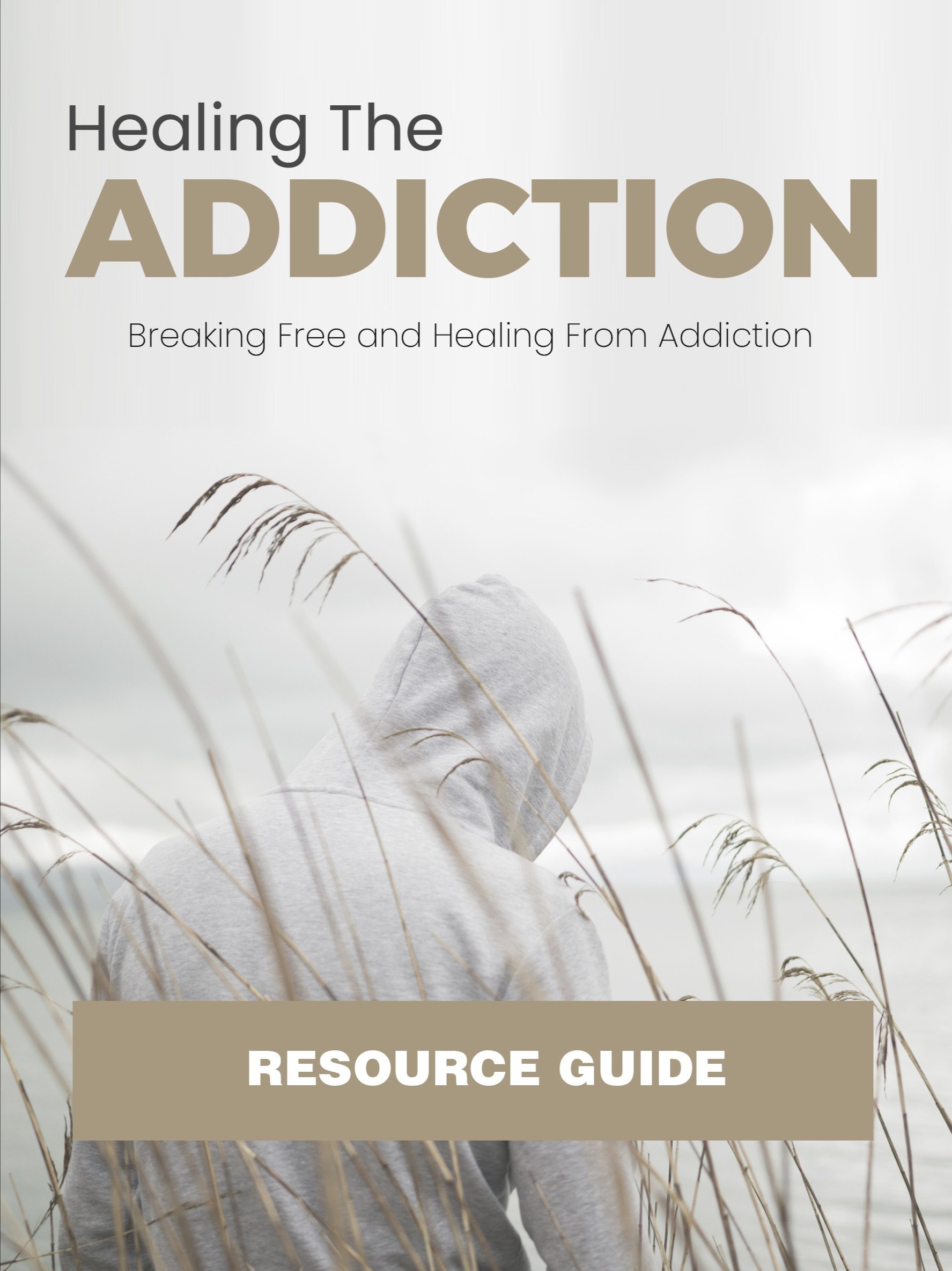 Healing The Addiction eBook product image (6)