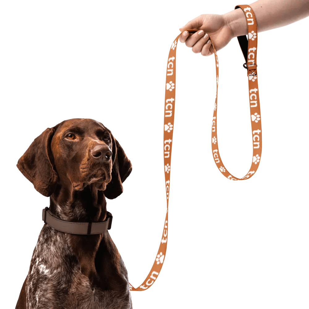 BEST FRIEND LEASH product image (4)