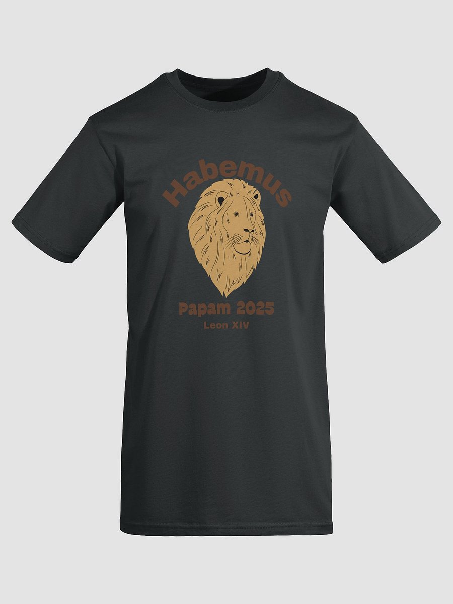Habemus Papam 2025 Tee product image (1)