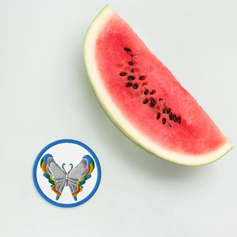 Rainbow Butterfly Embroidered Patches product image (12)