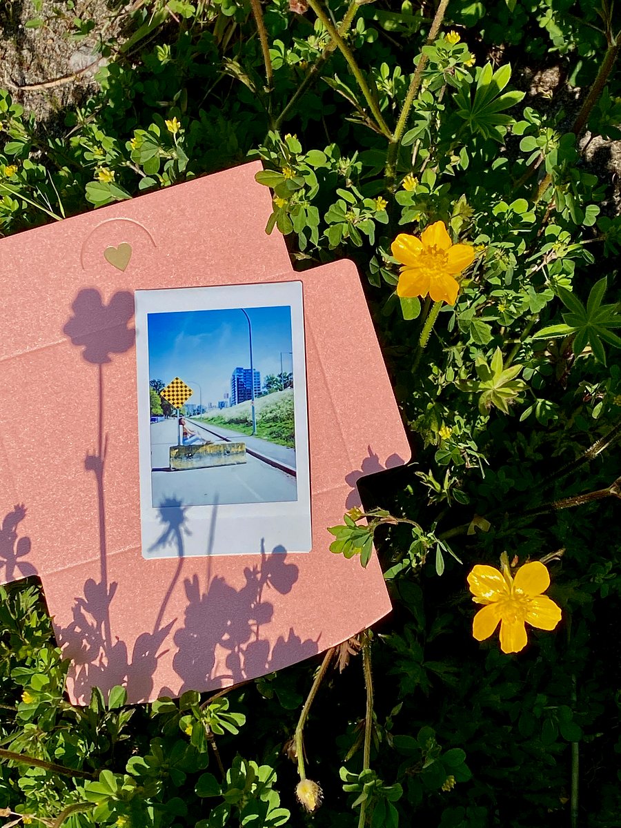 Polaroids from Jolene (Gacha Item) product image (1)