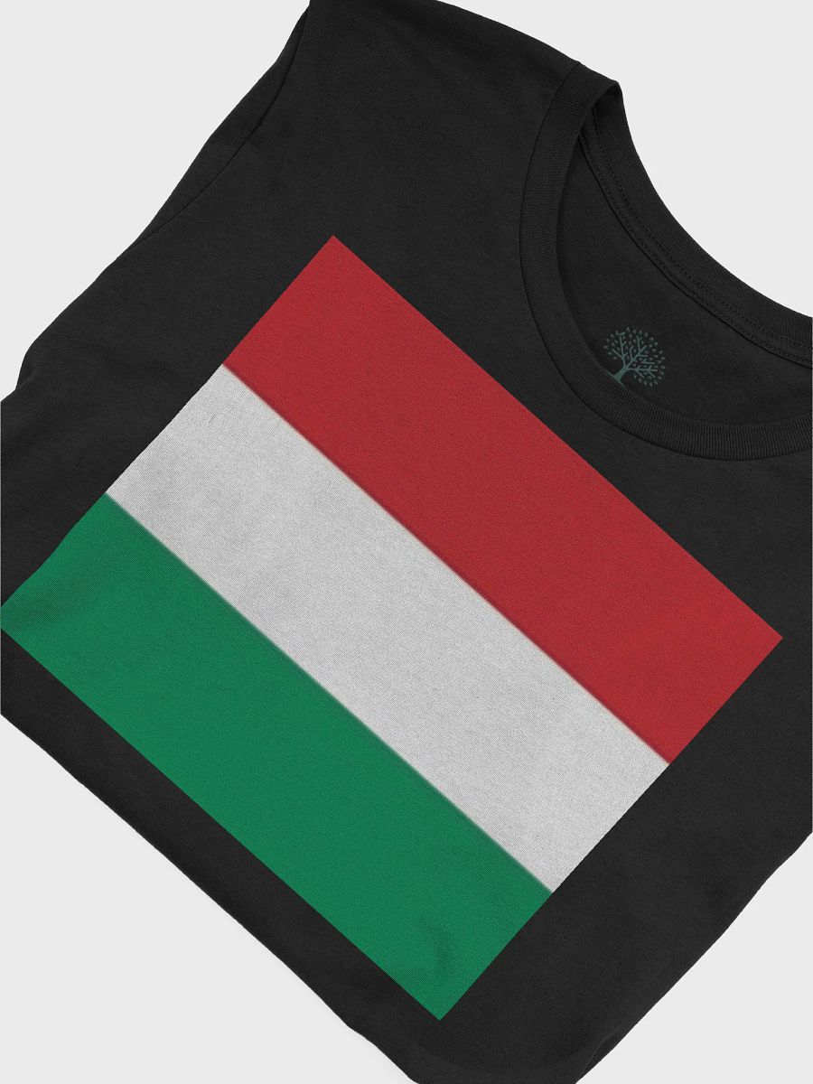 Exclusive Supersoft Unisex Hungary Flag Graphic Tee by Graphic Grove product image (7)