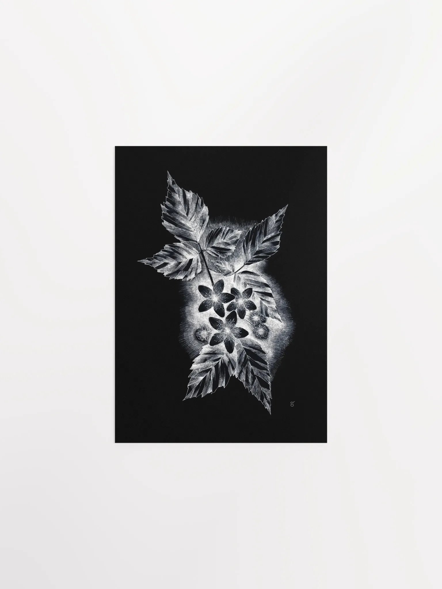 Botanical Bliss Matte Poster - Dark Jasmine product image (1)