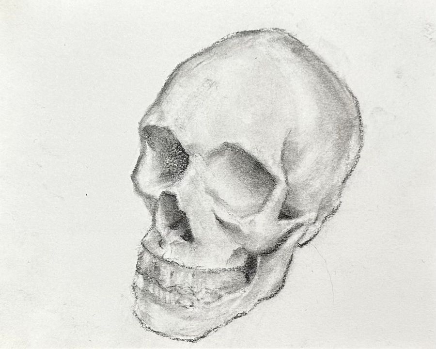 Another Skull product image (1)