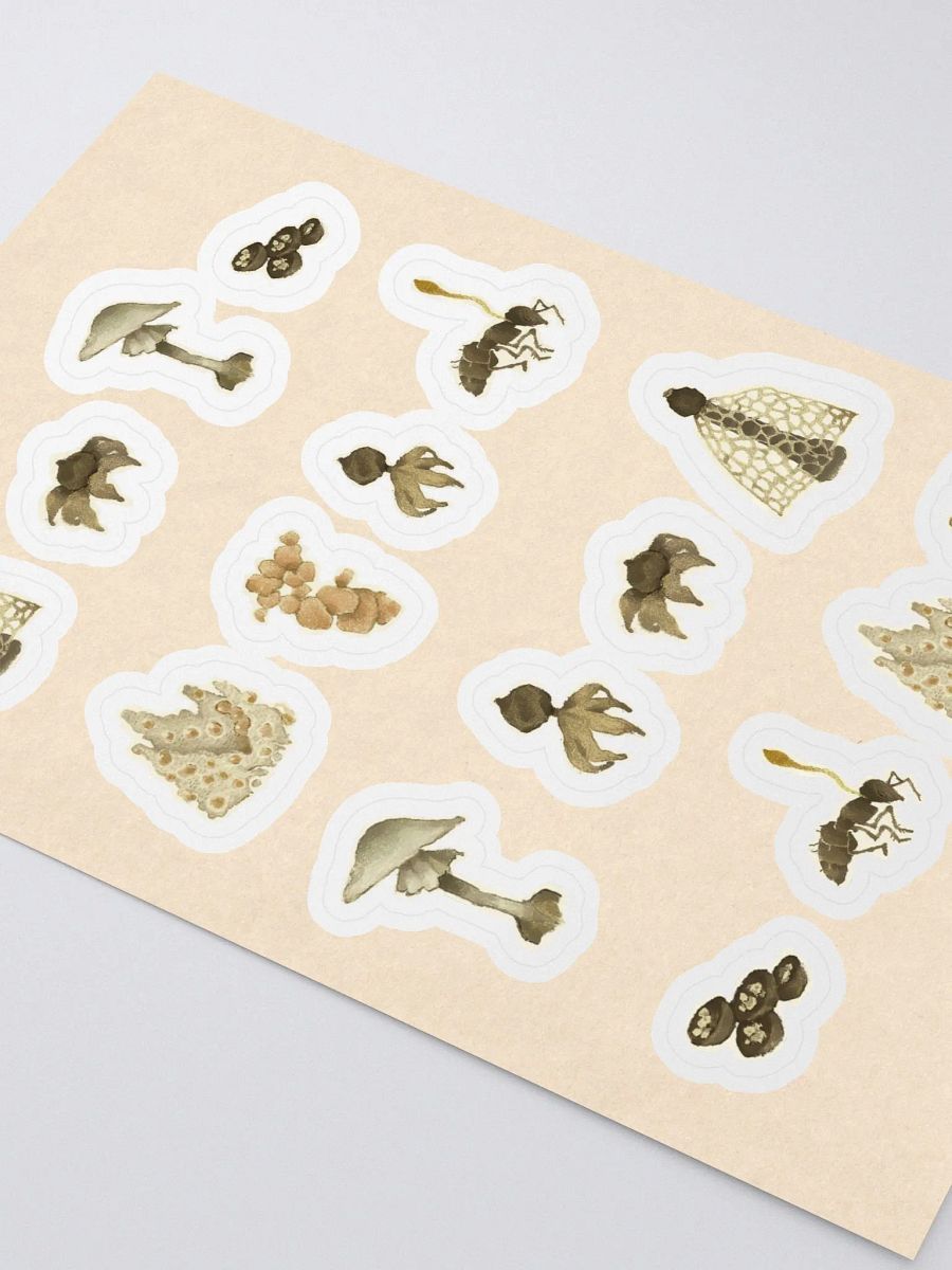 Mycology product image (2)