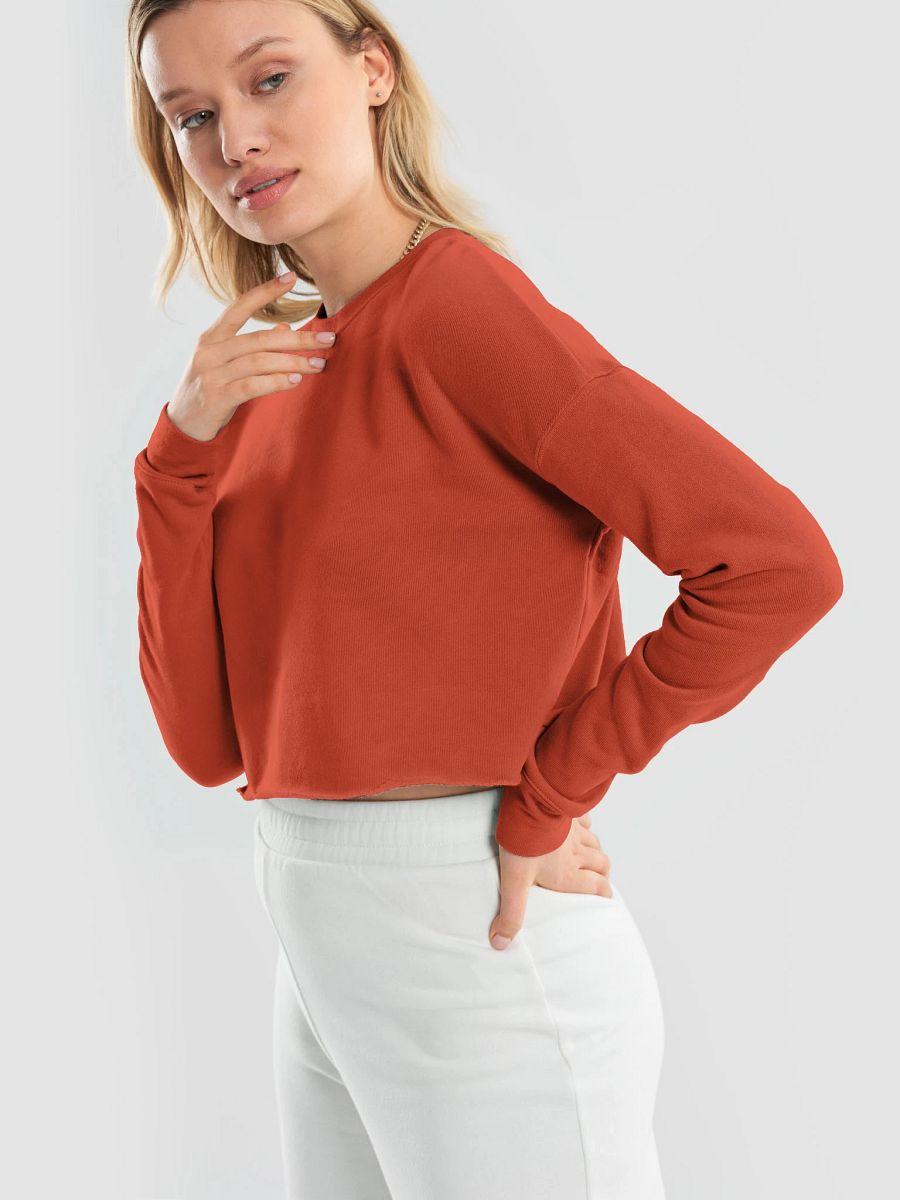 Plain Color Brick Crop Sweatshirt product image (2)