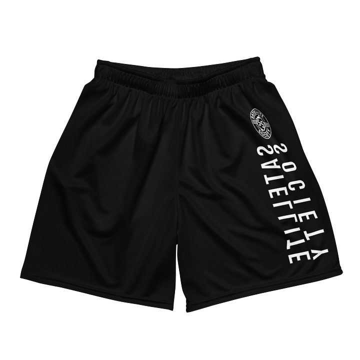 Objects in the Mirror Mesh Shorts product image (2)
