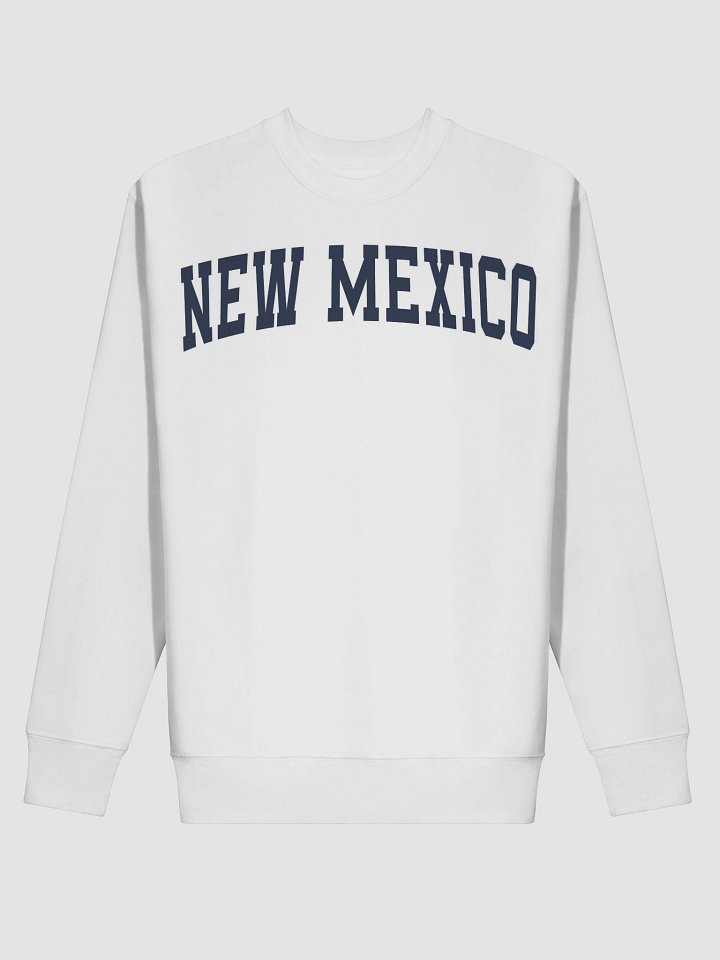 New Mexico Vintage Stylish Premium Sweatshirt product image (16)