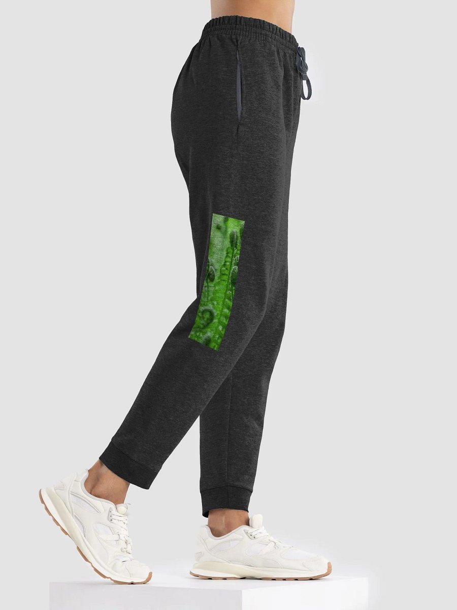 Fern Joggers product image (4)