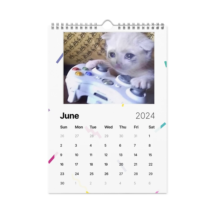 Wall Calendar (2024): Meme Cats product image (12)