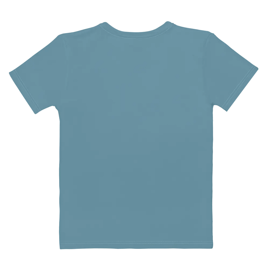 Plain Medium Light Blue Soft Summer Women's Crewneck Polyester Heavyweight Premium T-Shirt by Treasure Pie product image (9)