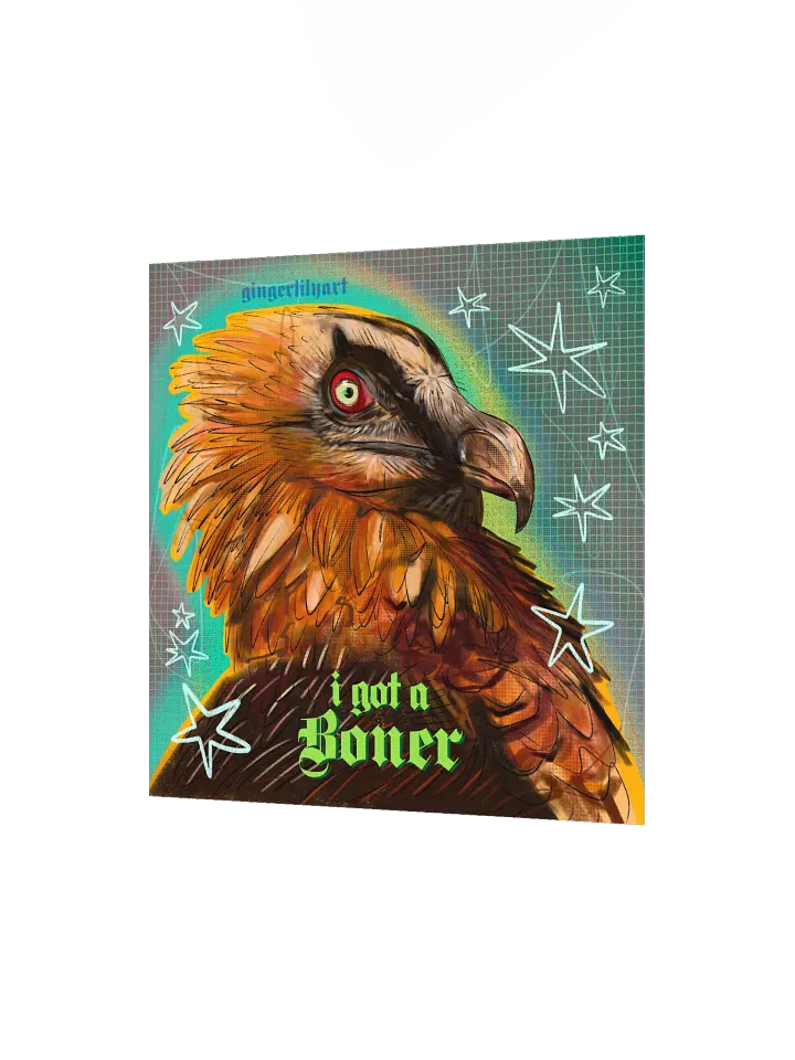 bearded vulture print product image (4)