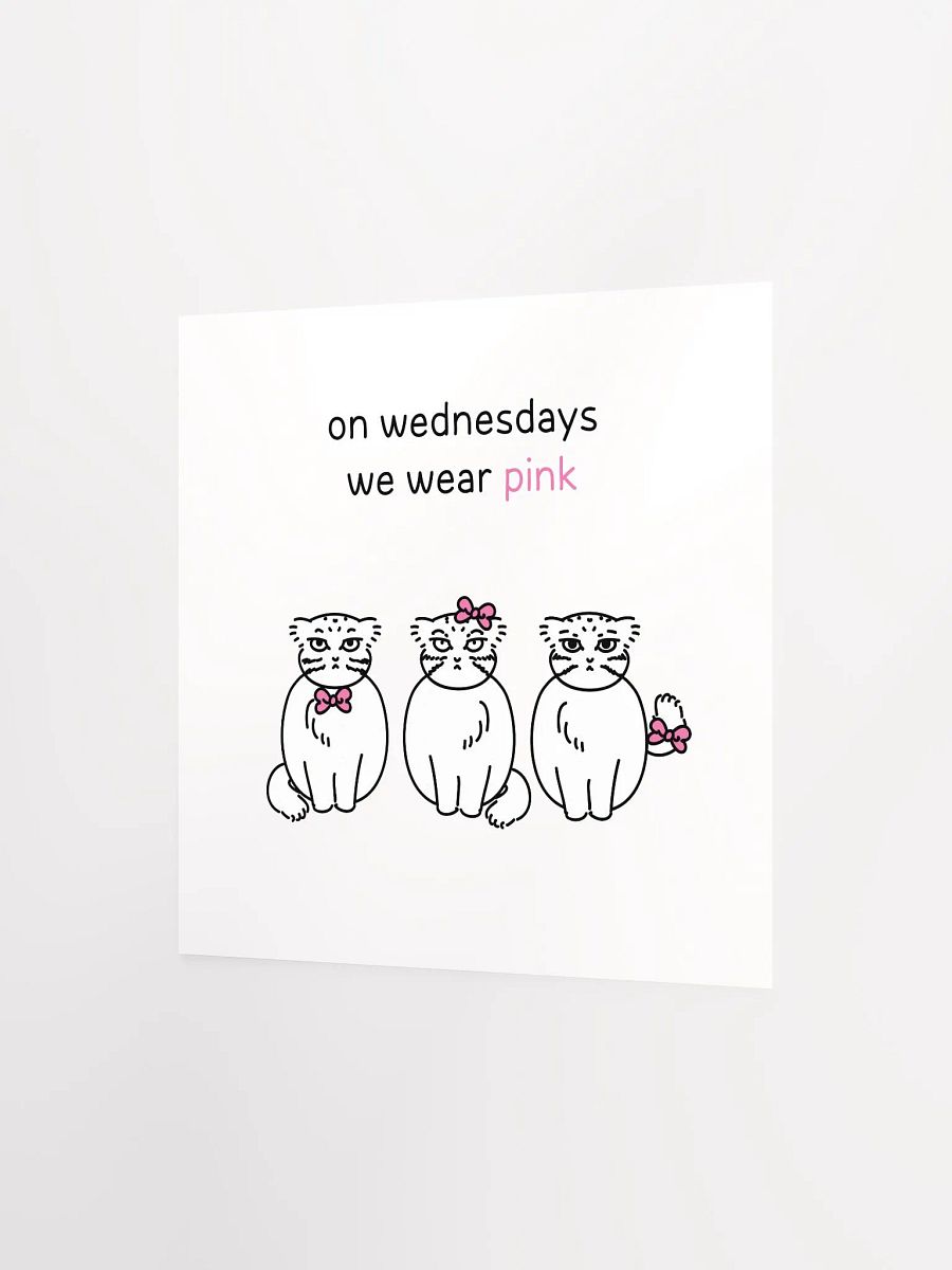 Pink Wednesdays Manul - Matte Poster product image (2)