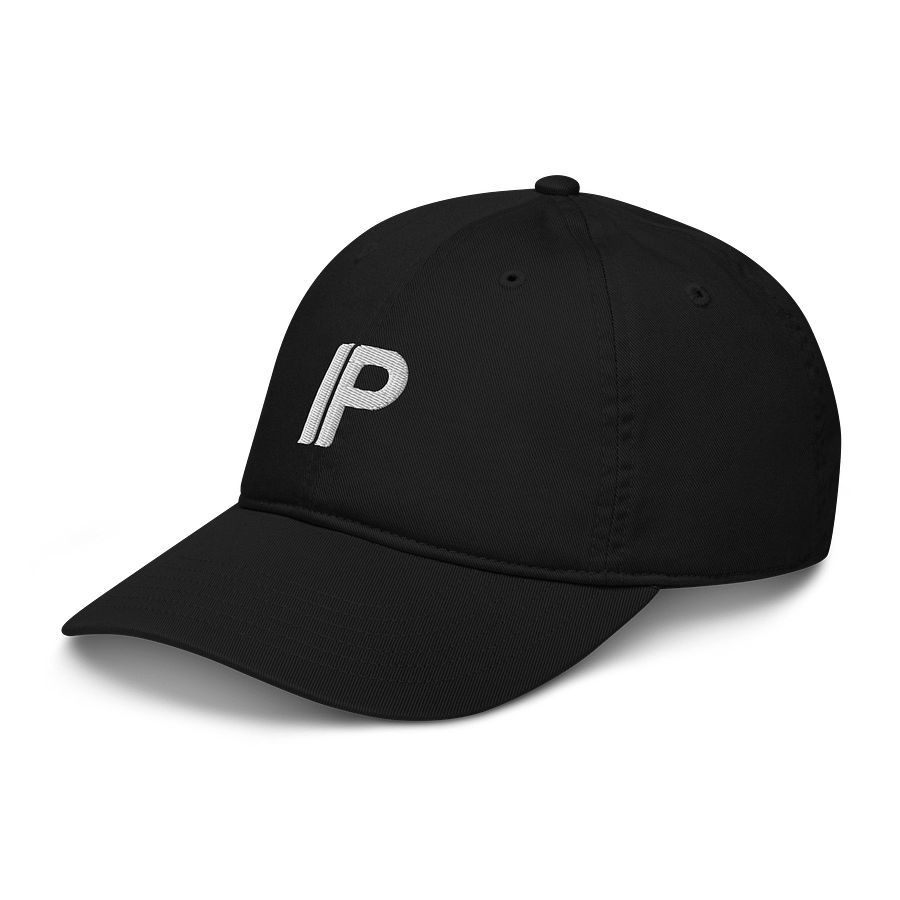 InspiringPhilosophy Dad Hat product image (4)