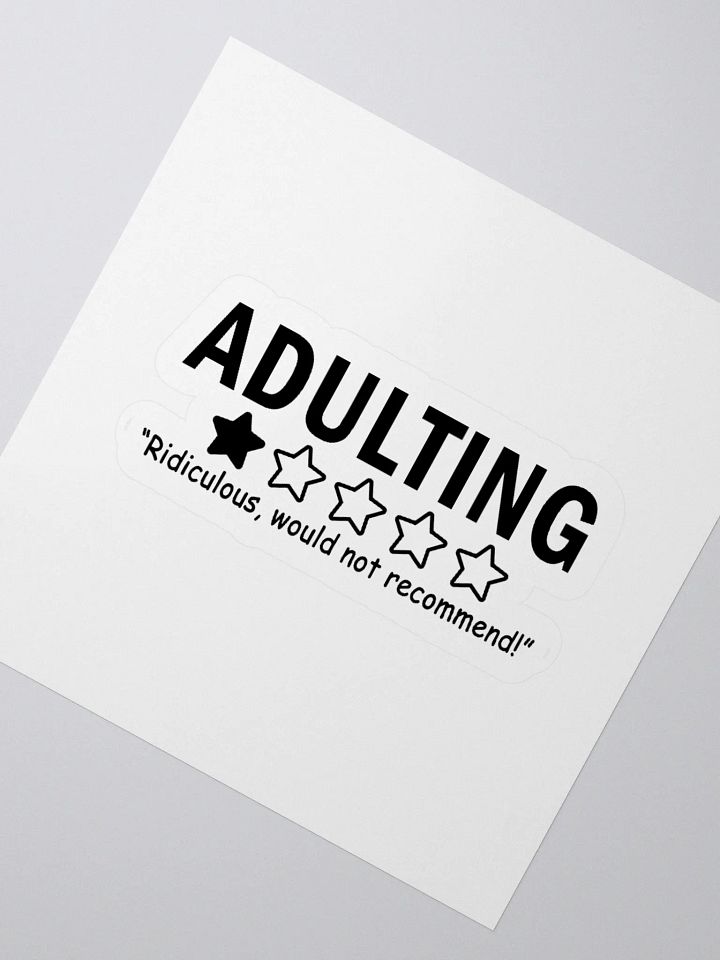 adulting product image (6)