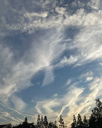 Sometimes I am amazed at how different each morning is. The sun rises, the sky is so clear. On my walk this morning it was 49...