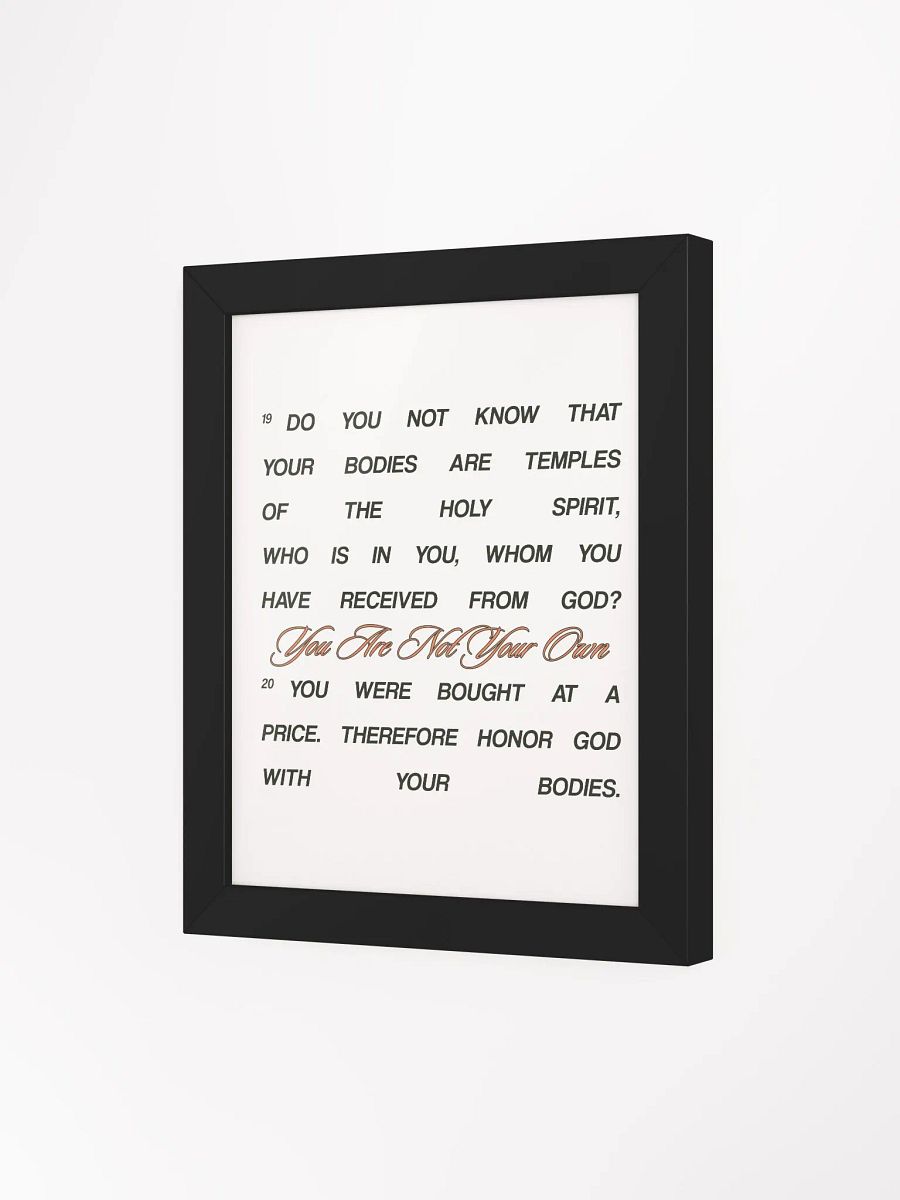 Your Bodies are Temples! product image (75)