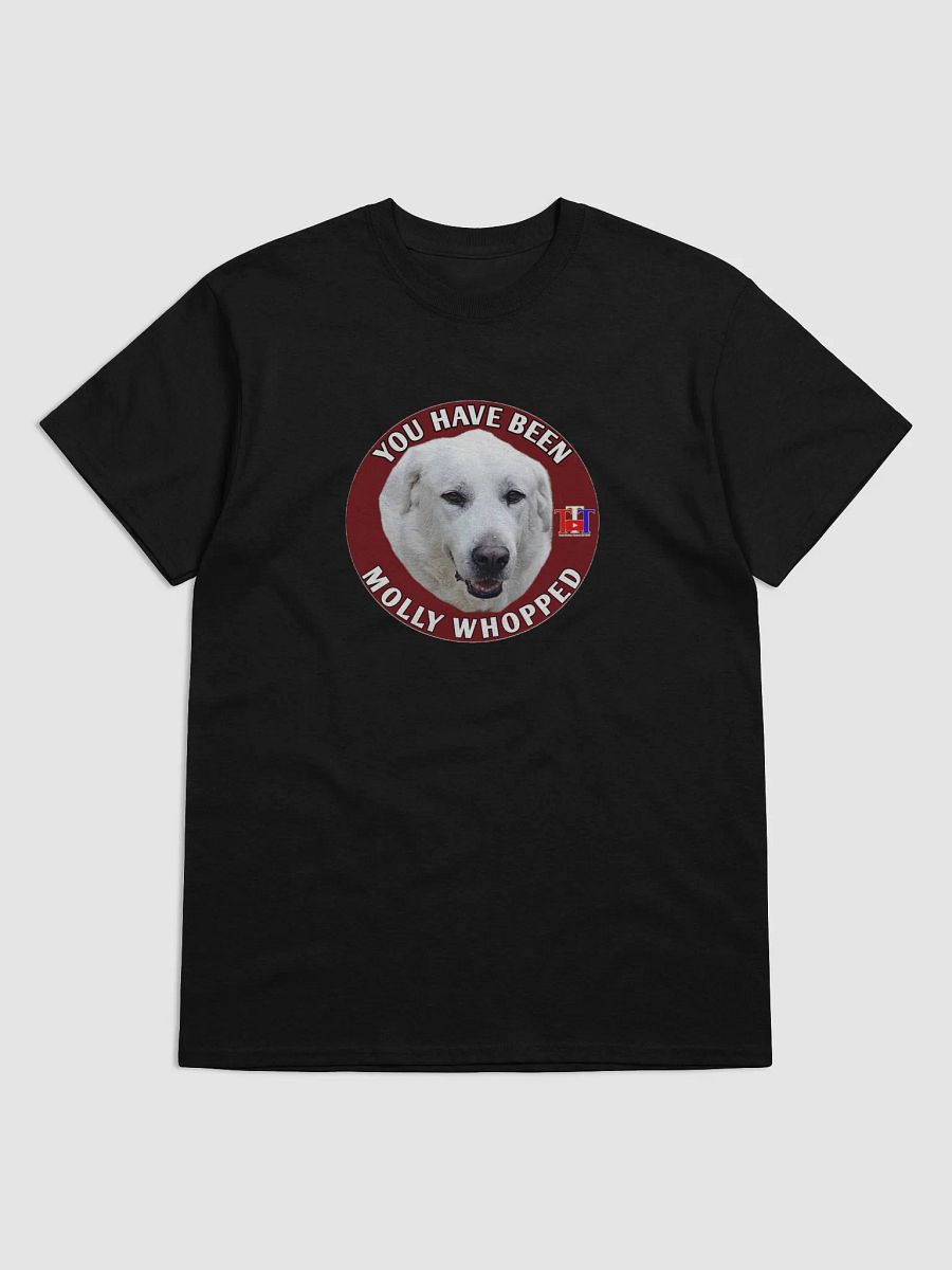 YOU HAVE BEEN MOLLY WHOPPED product image (21)