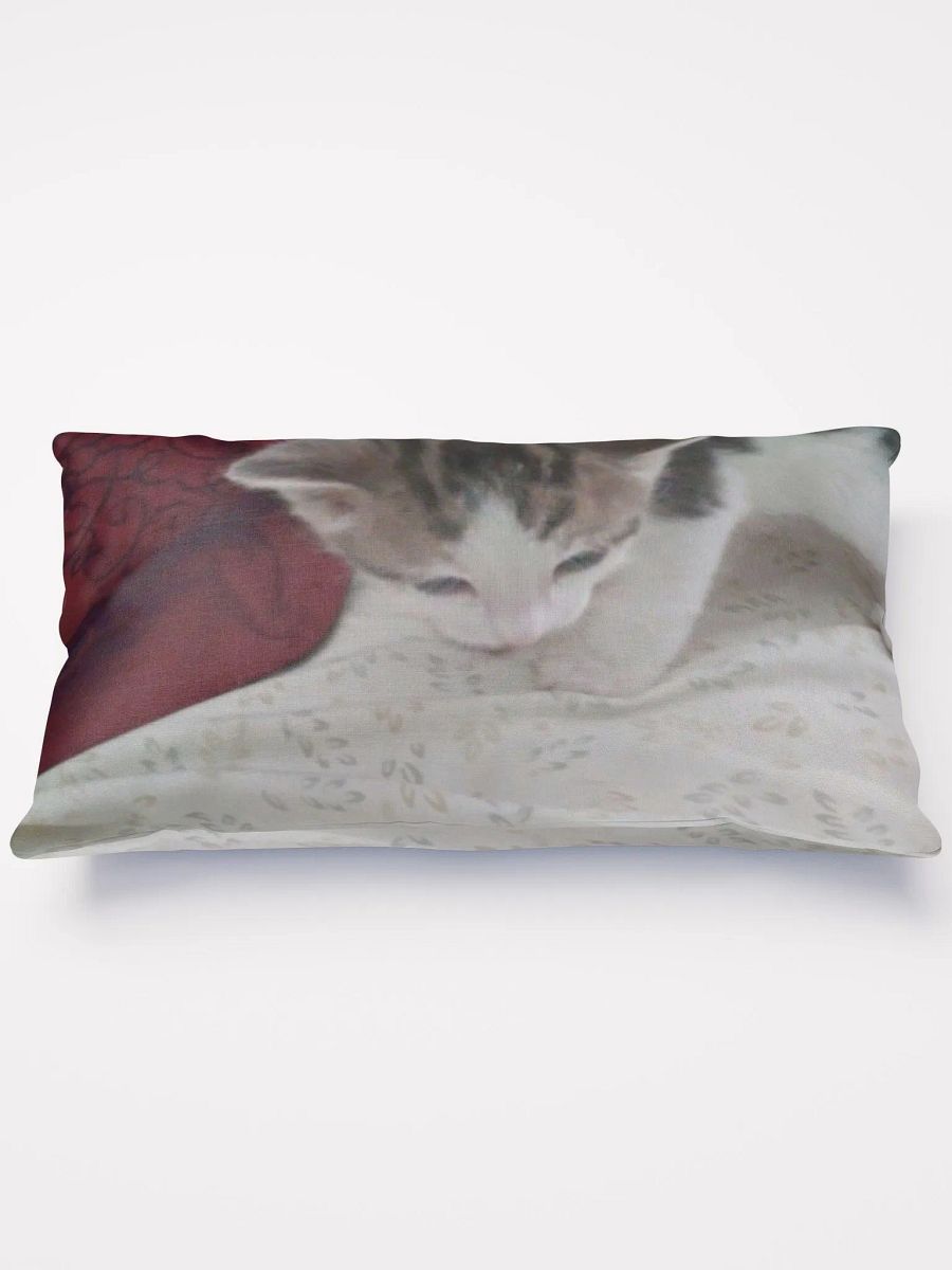 Adorable Kitten product image (1)