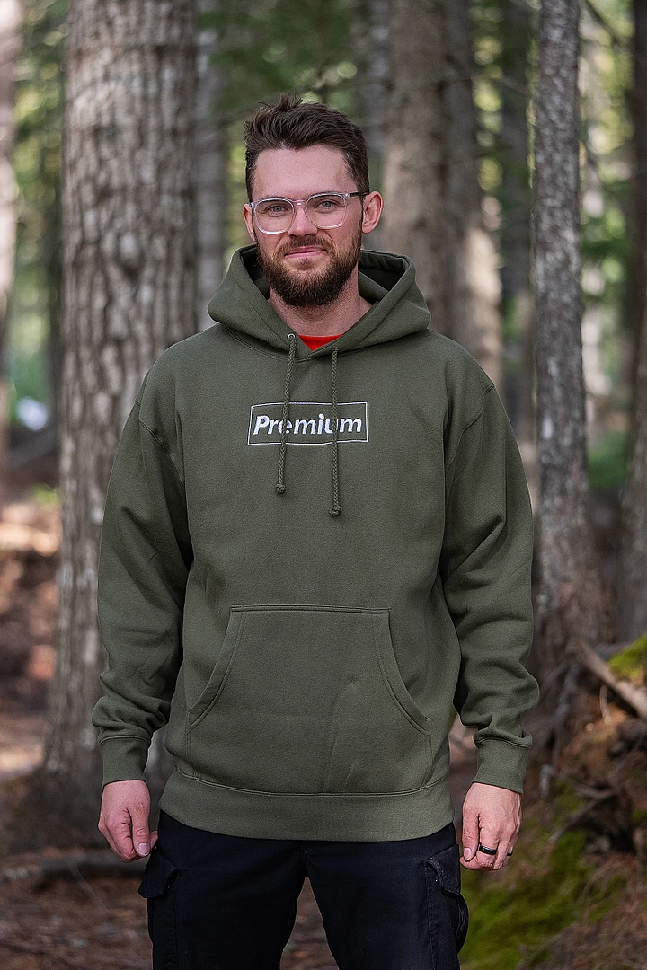 PREMIUM EMBROIDERED HOODIE product image (2)