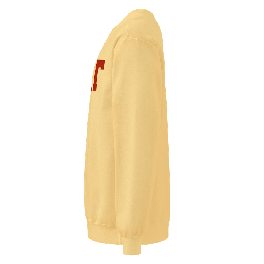 ADG Comfort Sweatshirt product image (12)
