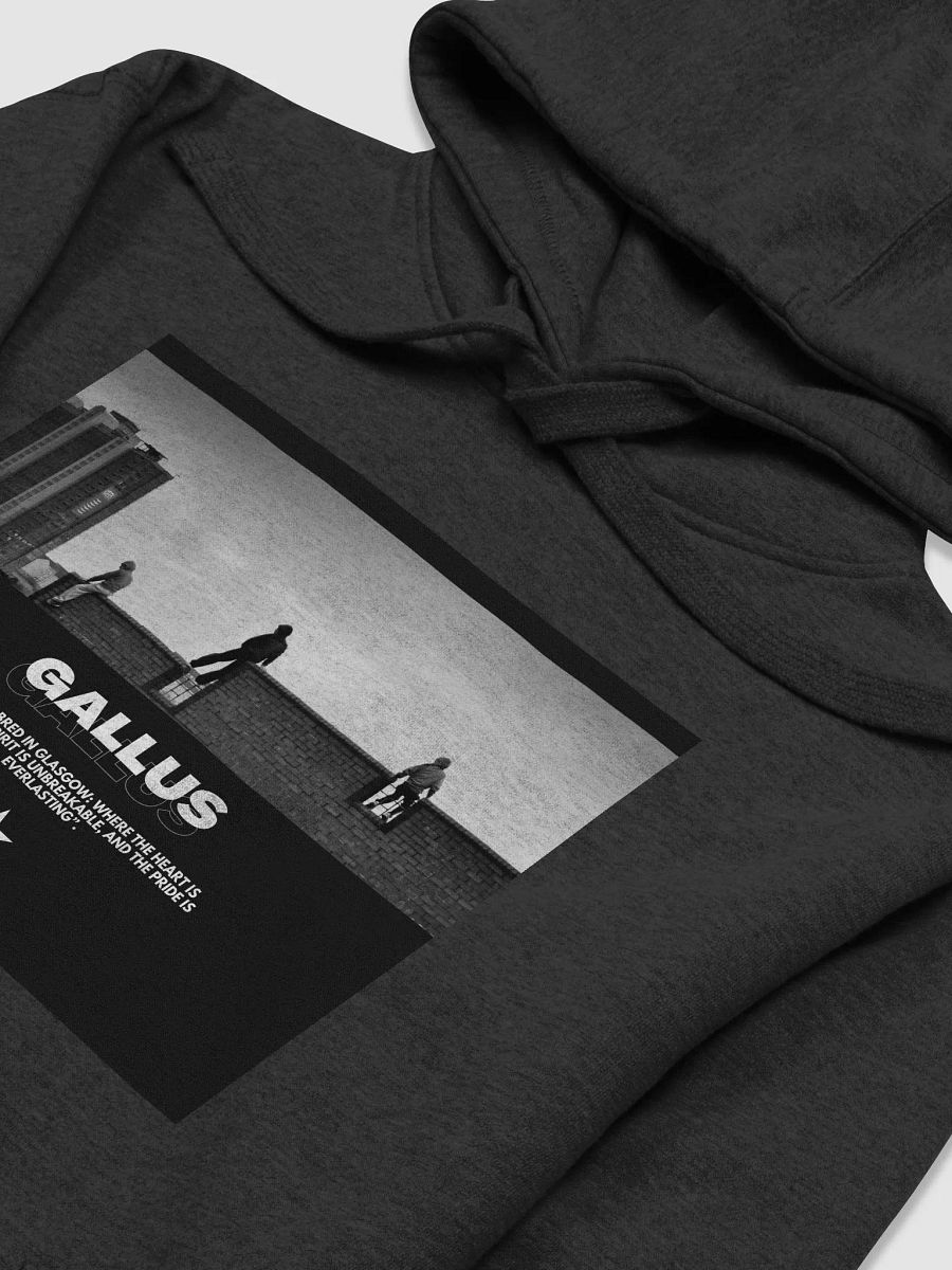 Gallus Hoodies product image (3)