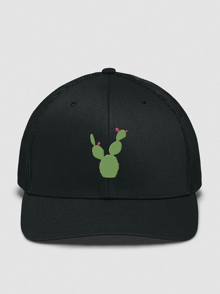 Con el Nopal en La Frente Snapback product image (1)