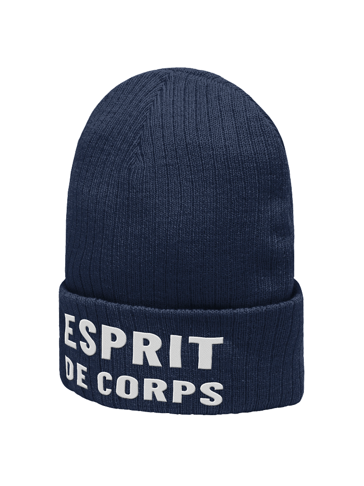 Esprit de Corps Knit Beanie product image (11)