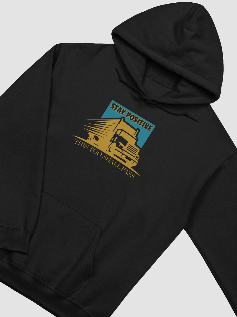 Slogan #9 This Too Shall Pass Hoodie product image (3)