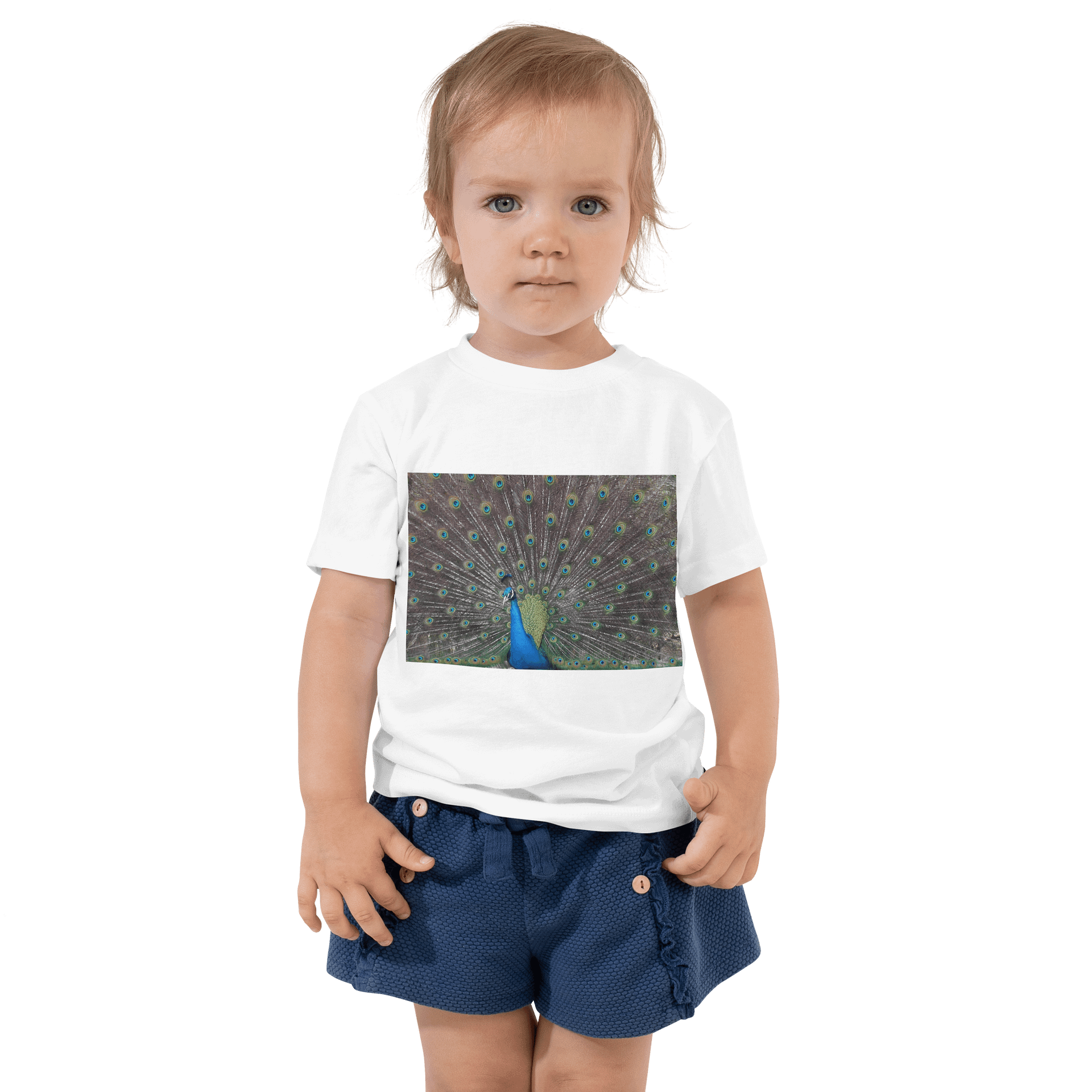 Peacock Toddler Cotton T-Shirt-plain product image (4)