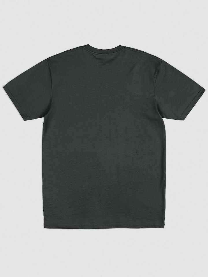 Bepis Embroidered Heavyweight Tee product image (2)