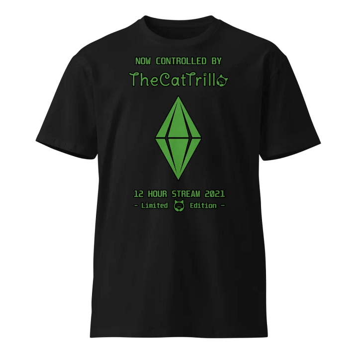 4 years on Twitch, shirt! product image (1)