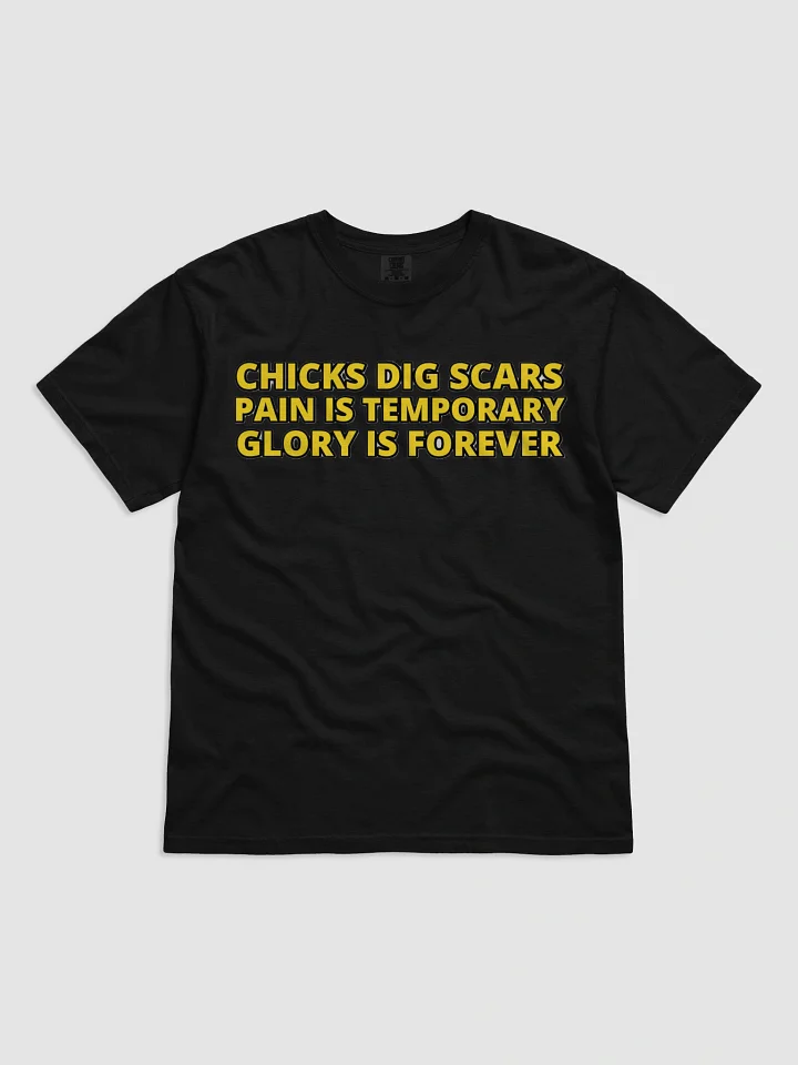 CHICKS DIG SCARS, PAIN IS TEMPORARY, GLORY IS FOREVER product image (2)